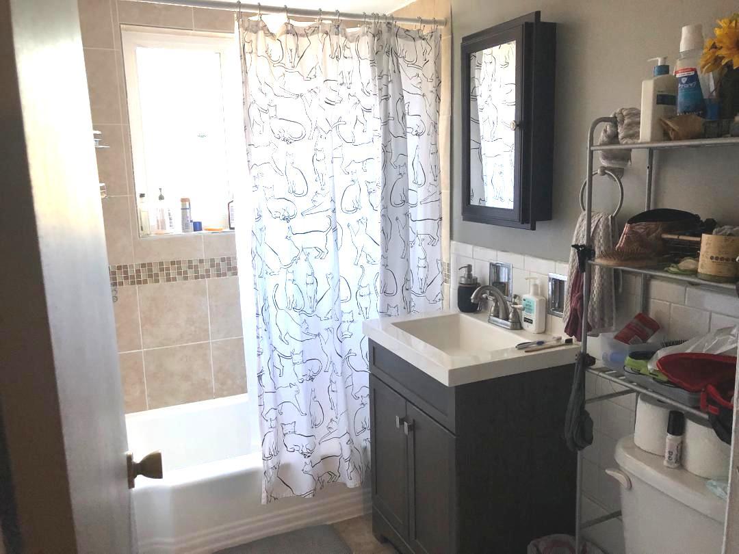 609 Oakton Street, Unit 2D Evanston, IL 60202 - Photo 5 of 7 a bathroom with a sink and a mirror