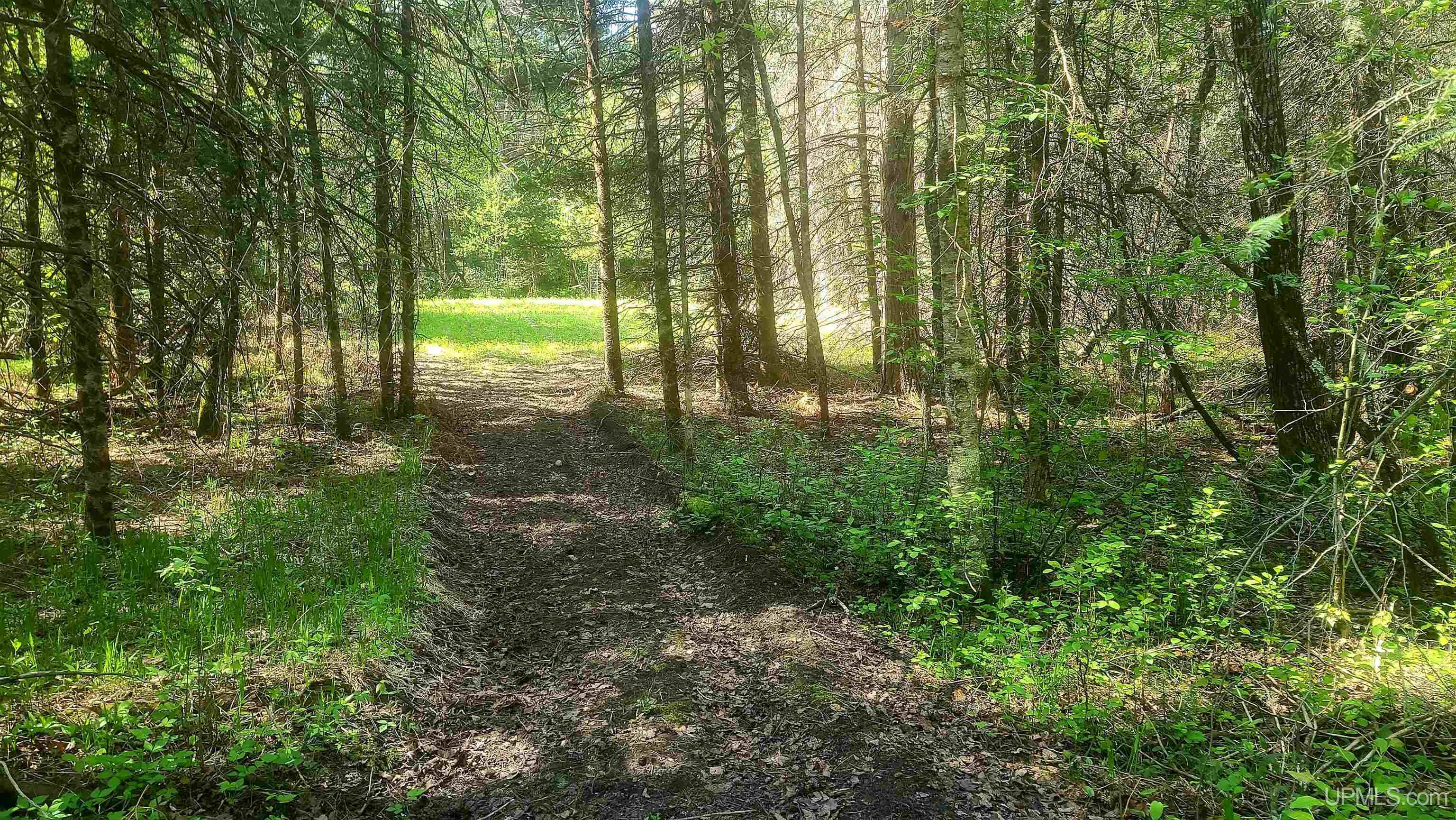 T-wi Wi 54119 Road Dunbar, WI 54119 - Photo 13 of 25 Gallery Image 13