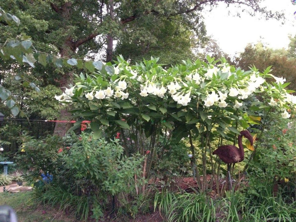10350 Jim Sossoman Road Midland, NC 28107 - Photo 20 of 24 Gallery Image 20