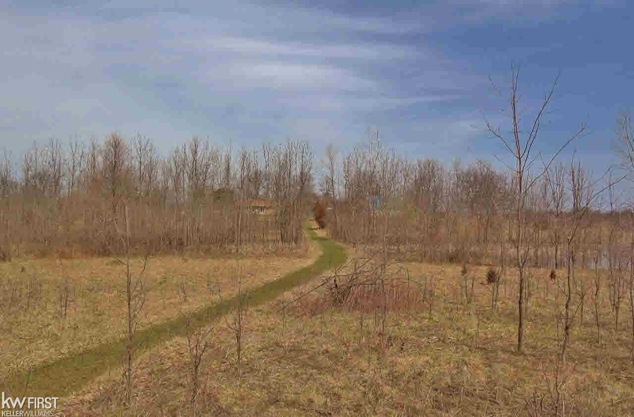 6155 West Ray Road Linden, MI 48451 - Photo 35 of 37 21275787-34.JPG