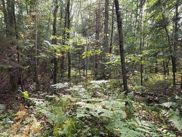Lot27-28 Nathan Pass Mercer, WI 54547 - Photo 15 of 18 Gallery Image 15
