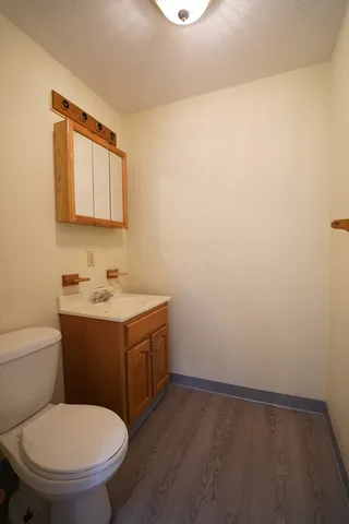 a bathroom with a sink a toilet and mirror