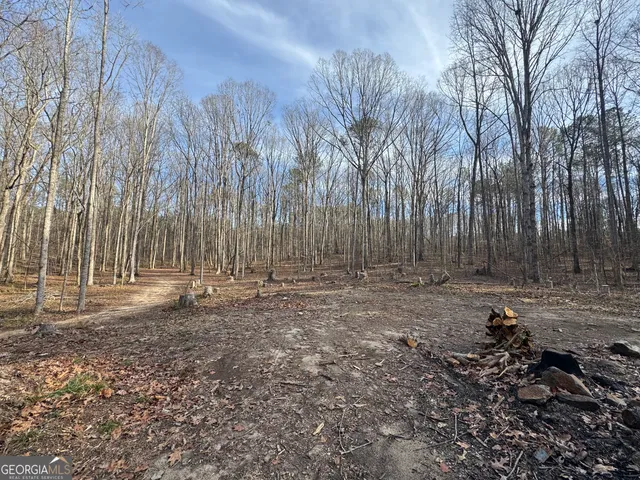 $93,990 | 0 Alder Road, Franklin, GA 30217