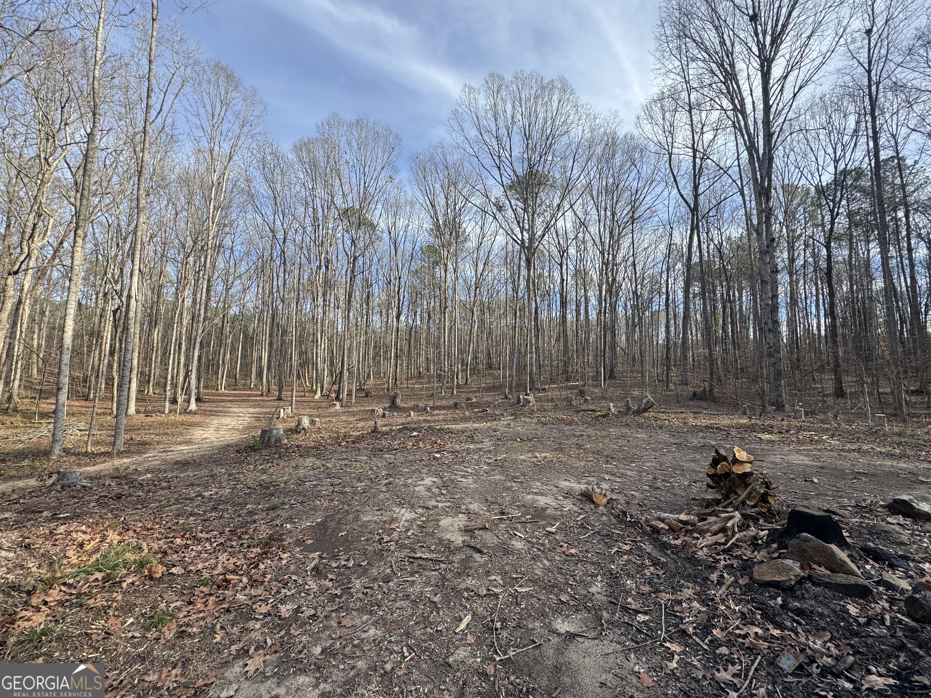 0 Alder Road Franklin, GA 30217 - Photo 1 of 3