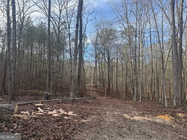 $93,990 | 0 Alder Road, Franklin, GA 30217