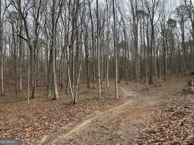 $93,990 | 0 Alder Road, Franklin, GA 30217