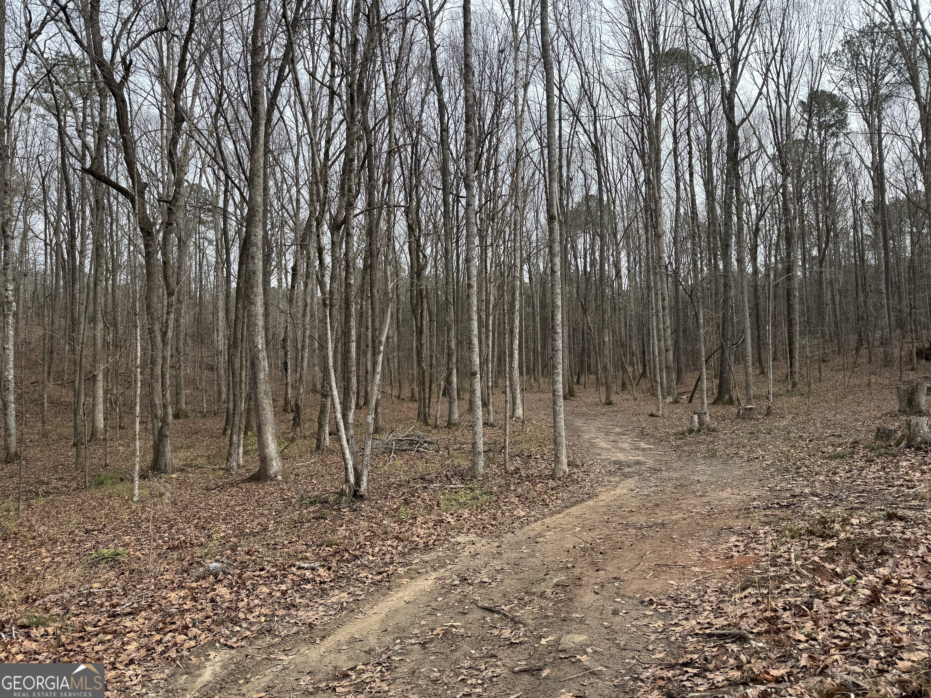 0 Alder Road Franklin, GA 30217 - Photo 3 of 3