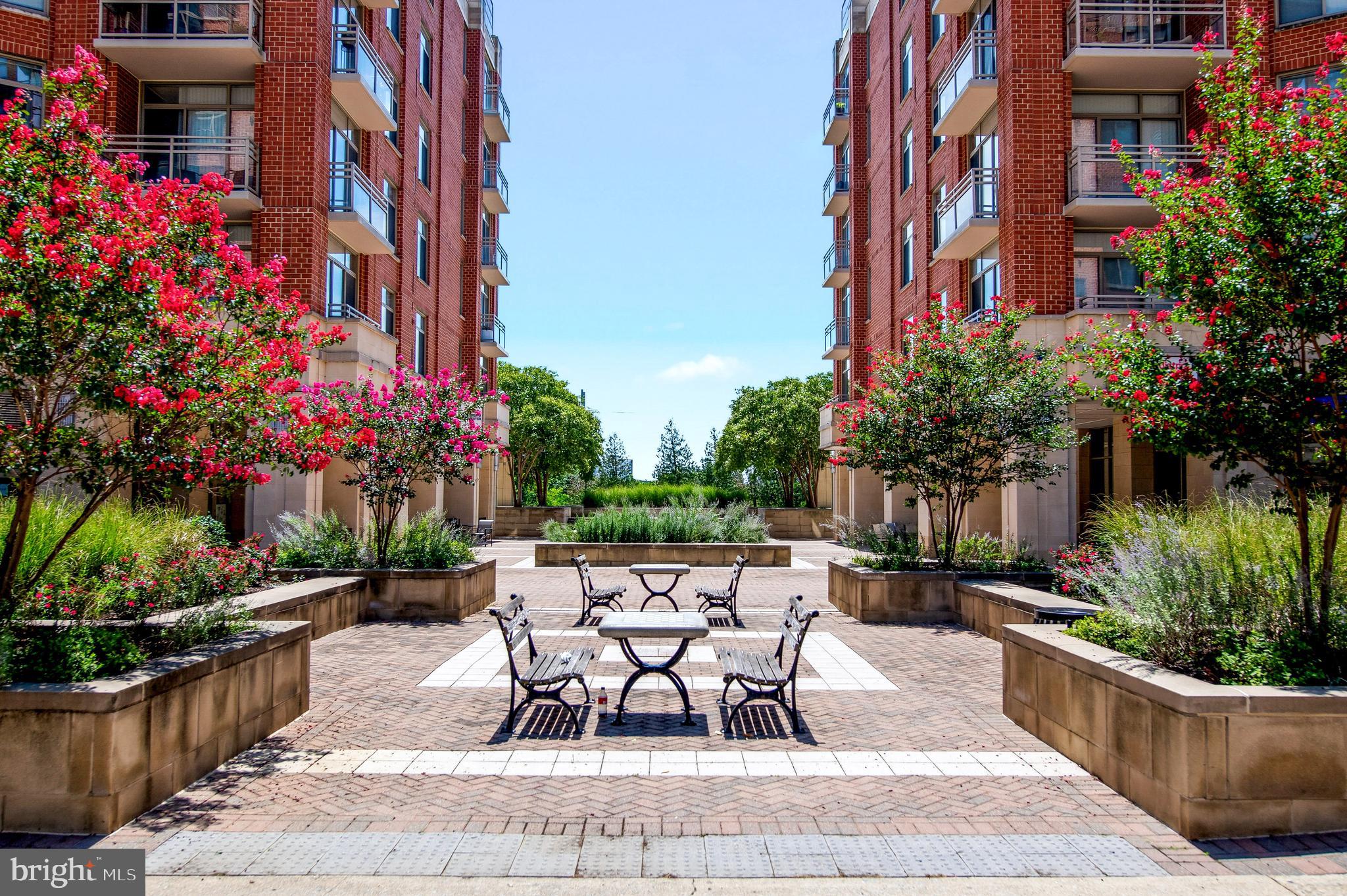 3650 South Glebe Road, Unit 445 Arlington, VA 22202 - Photo 4 of 57 Gallery Image 4