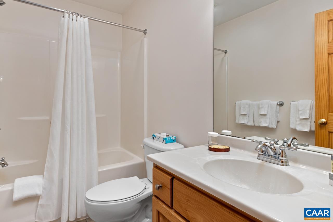 54 Hickory Spring Road Roseland, VA 22967 - Photo 46 of 62 Gallery Image 46