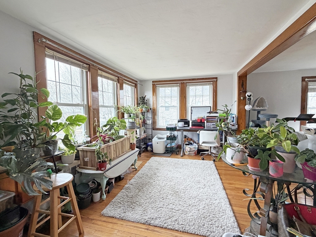 75-77 Dale Street, Unit 77 Waltham, MA 02451 - Photo 5 of 17 a living room with furniture and a potted plant