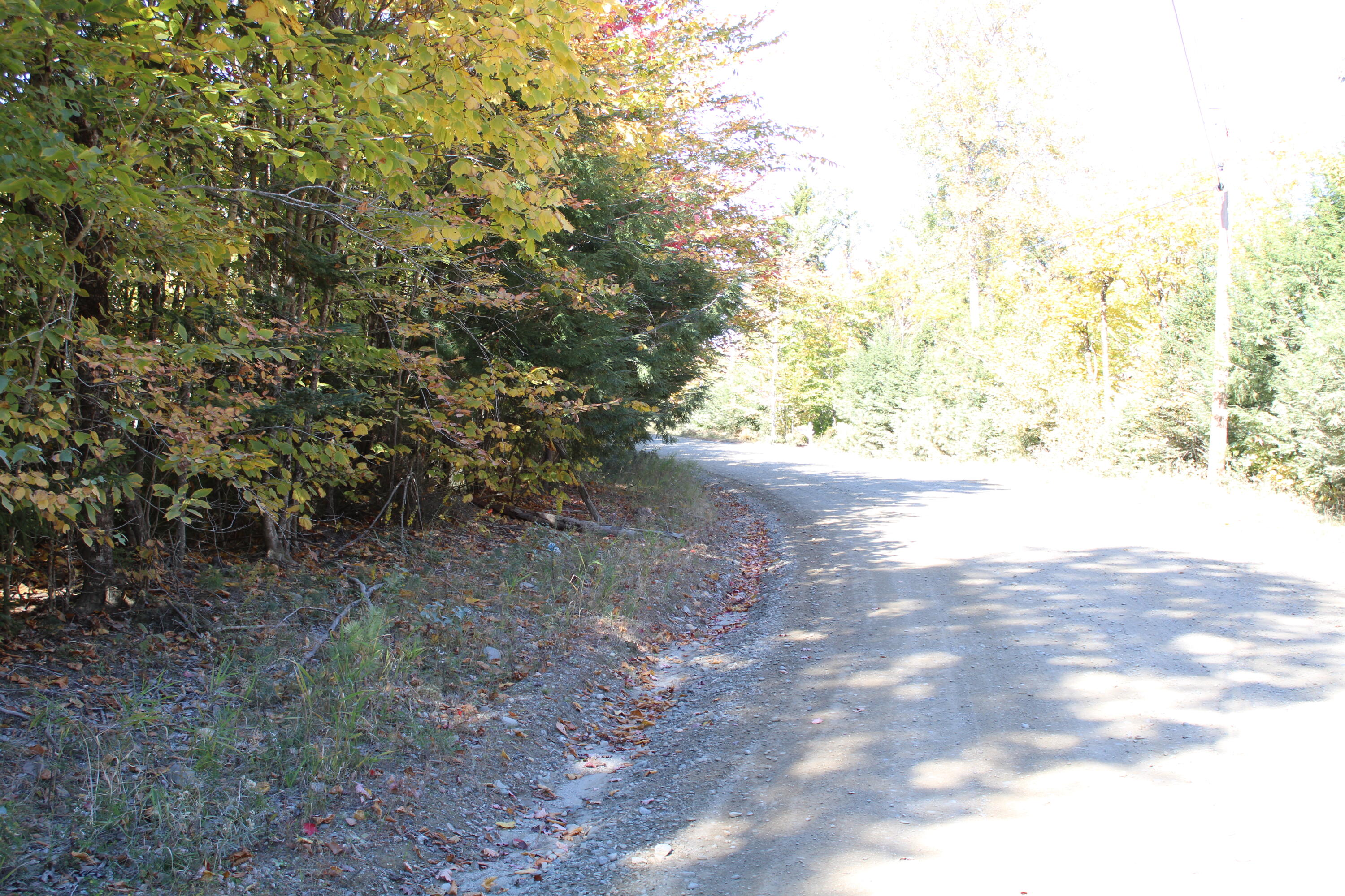 4-10 Nicolin Road Ellsworth, ME 04605 - Photo 11 of 14 IMG_0495