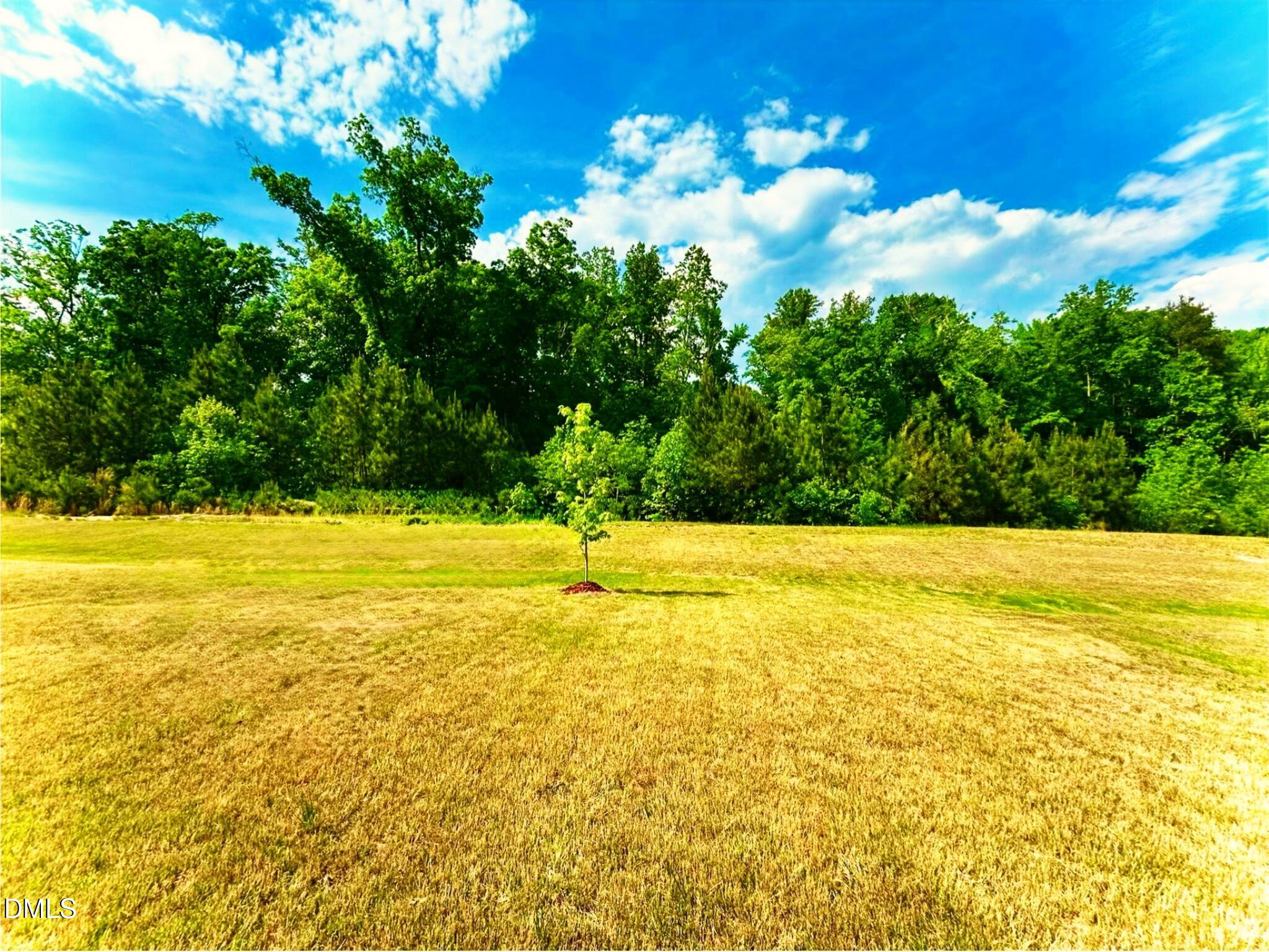 2264 Fletchers Ridge Drive Durham, NC 27703 - Photo 39 of 41 5. House backs into a wooded lot