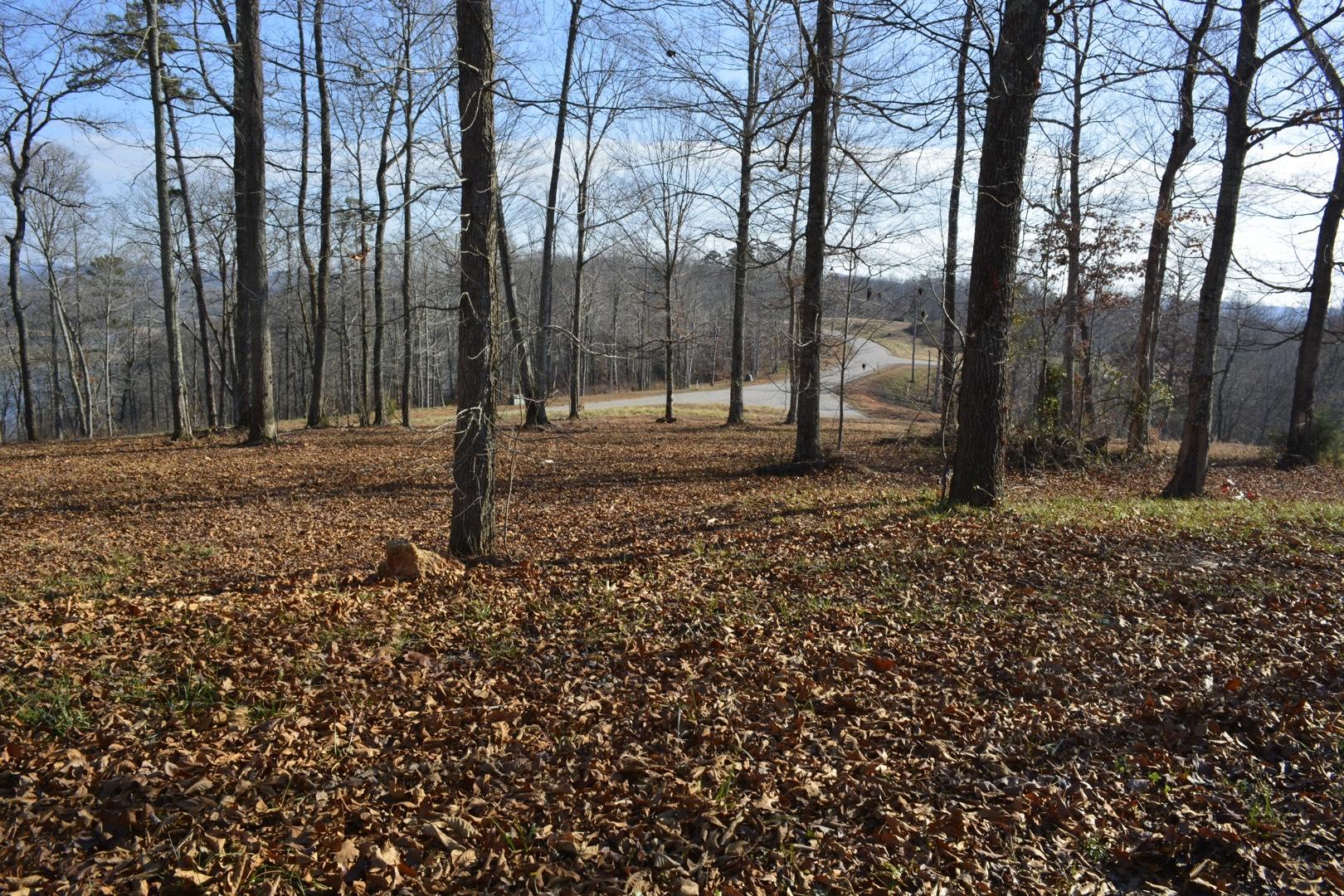 617 Prestige Ridge La Follette, TN 37766 - Photo 2 of 9 grieb2 618