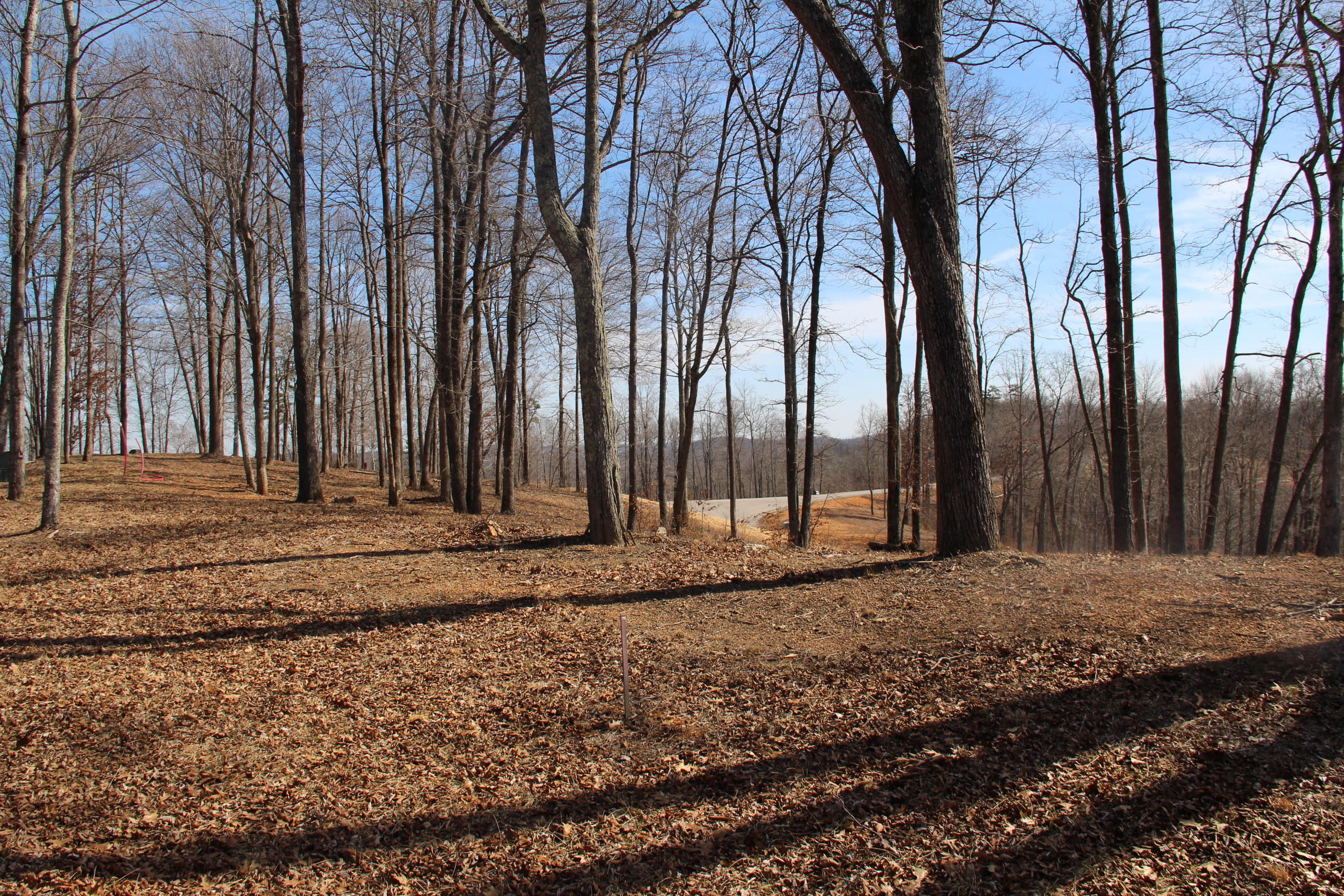 617 Prestige Ridge La Follette, TN 37766 - Photo 4 of 9 ccnl 617