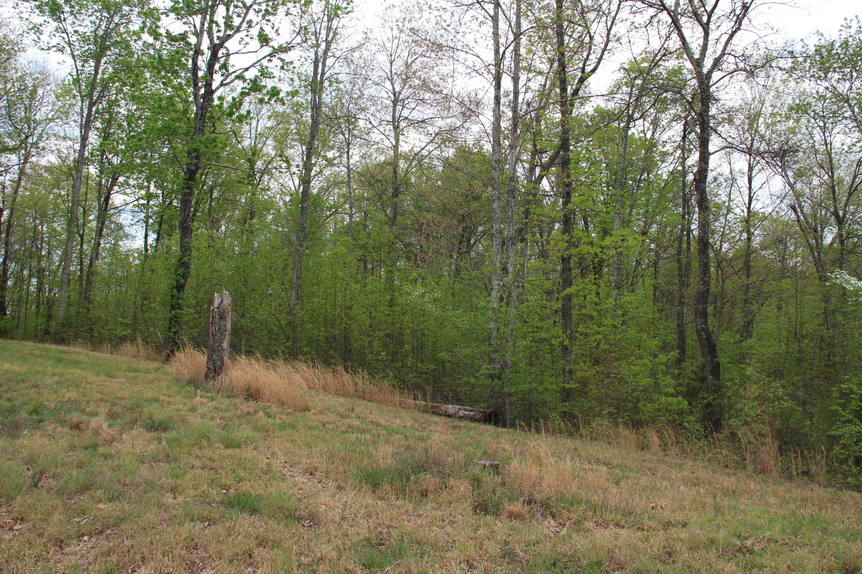 617 Prestige Ridge La Follette, TN 37766 - Photo 5 of 9 CC 617