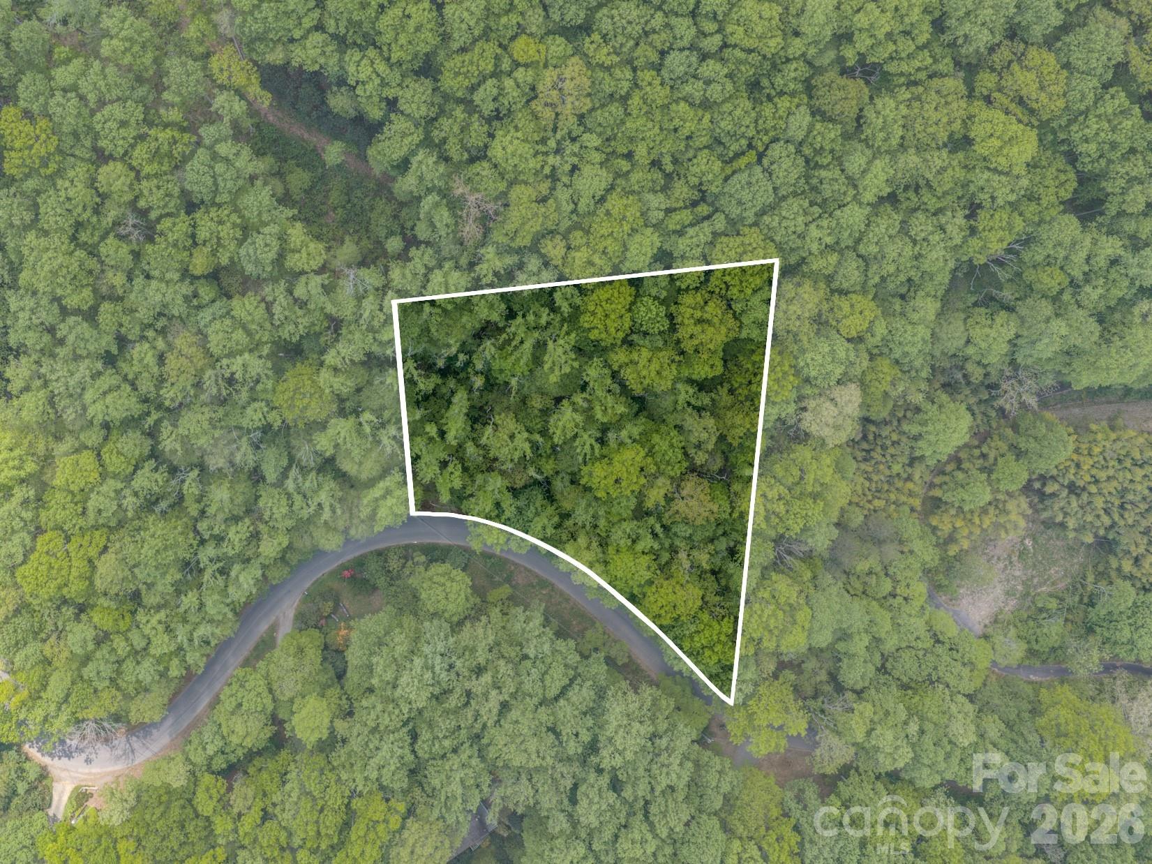 259 Mockingbird Road, Unit 1 Swannanoa, NC 28778 - Photo 1 of 25 a view of a backyard