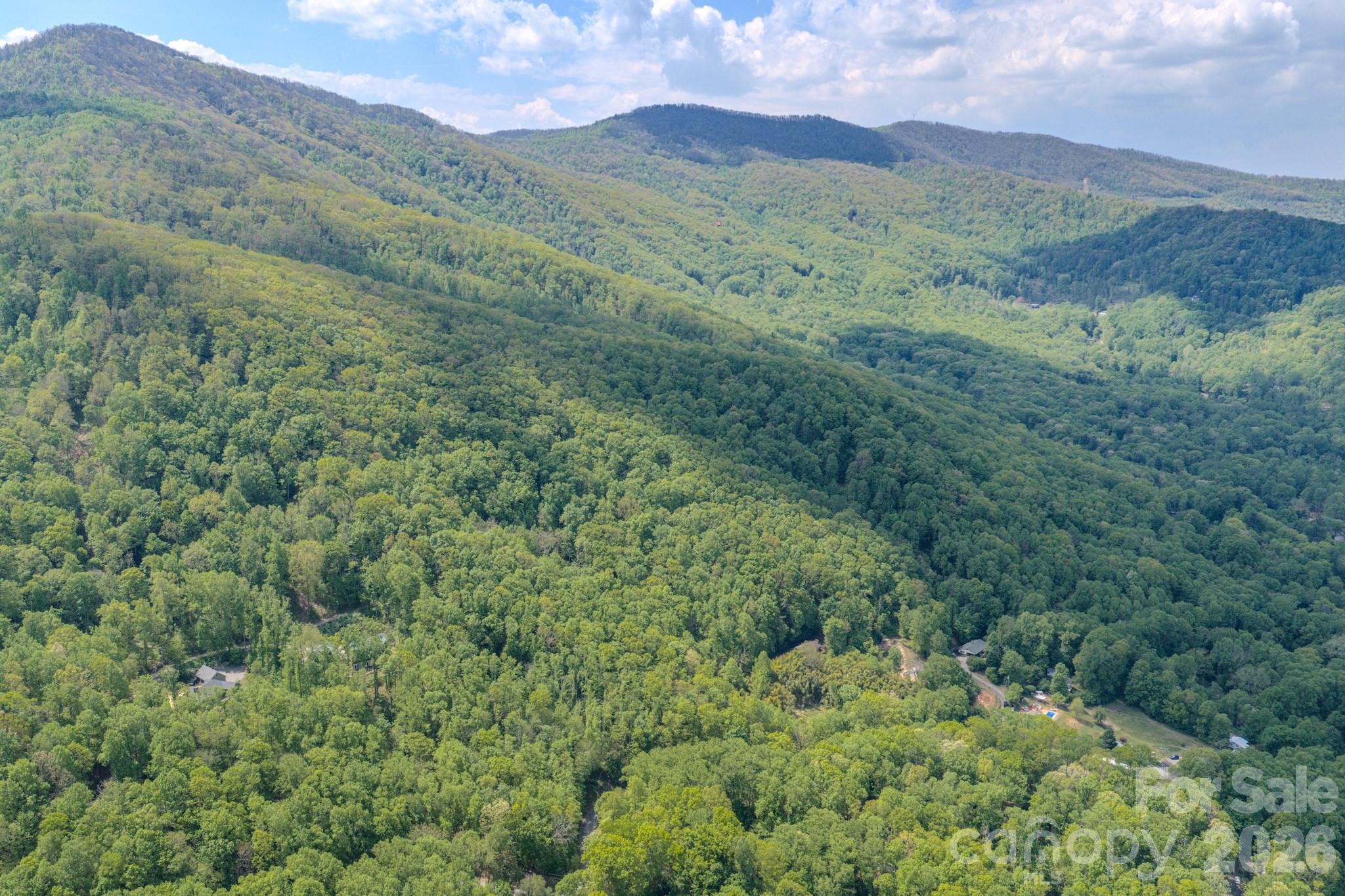 259 Mockingbird Road, Unit 1 Swannanoa, NC 28778 - Photo 11 of 25 a view of a lush green hillside and a mountain