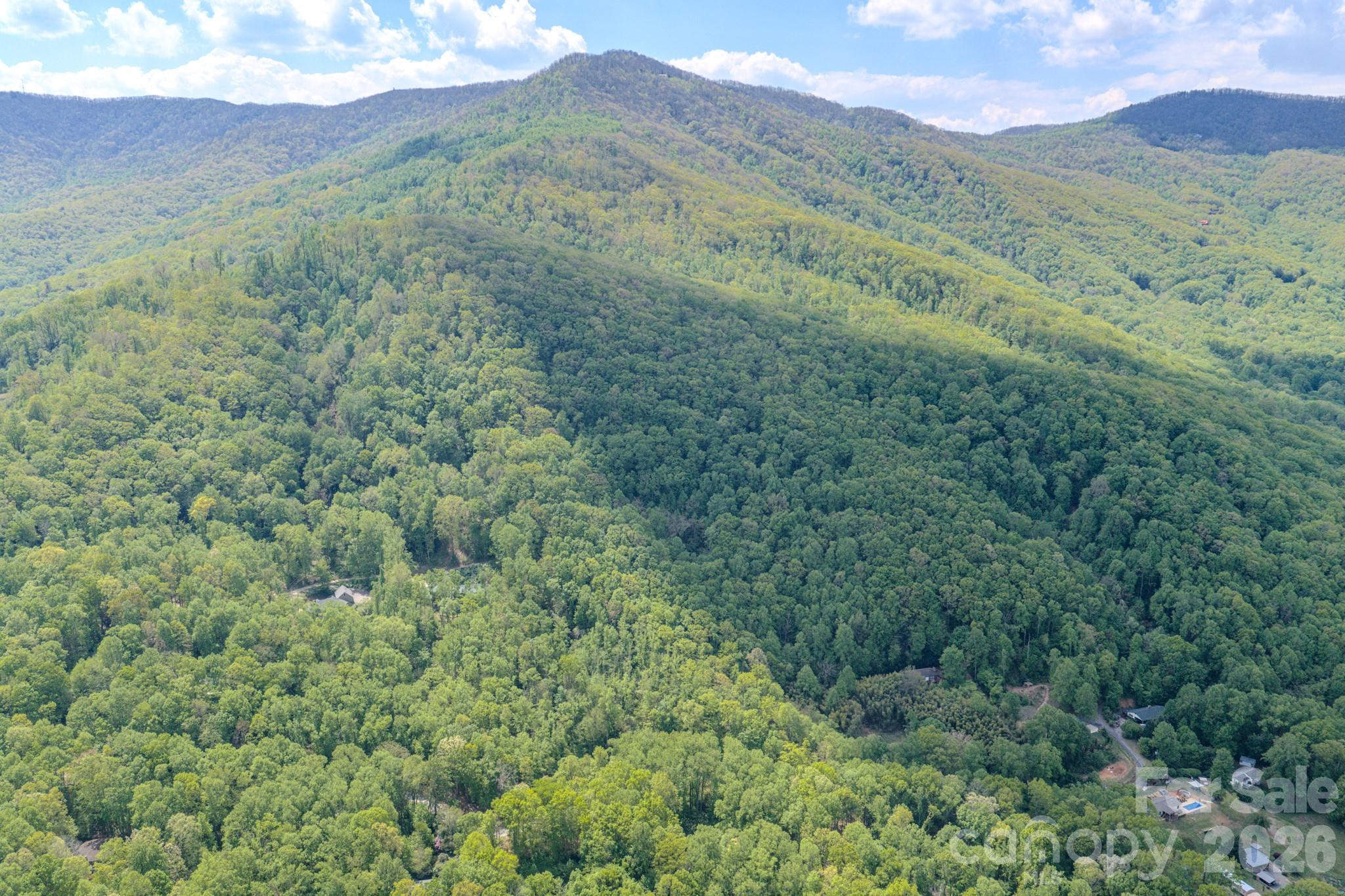 259 Mockingbird Road, Unit 1 Swannanoa, NC 28778 - Photo 12 of 25 a view of a lush green hillside and a mountain