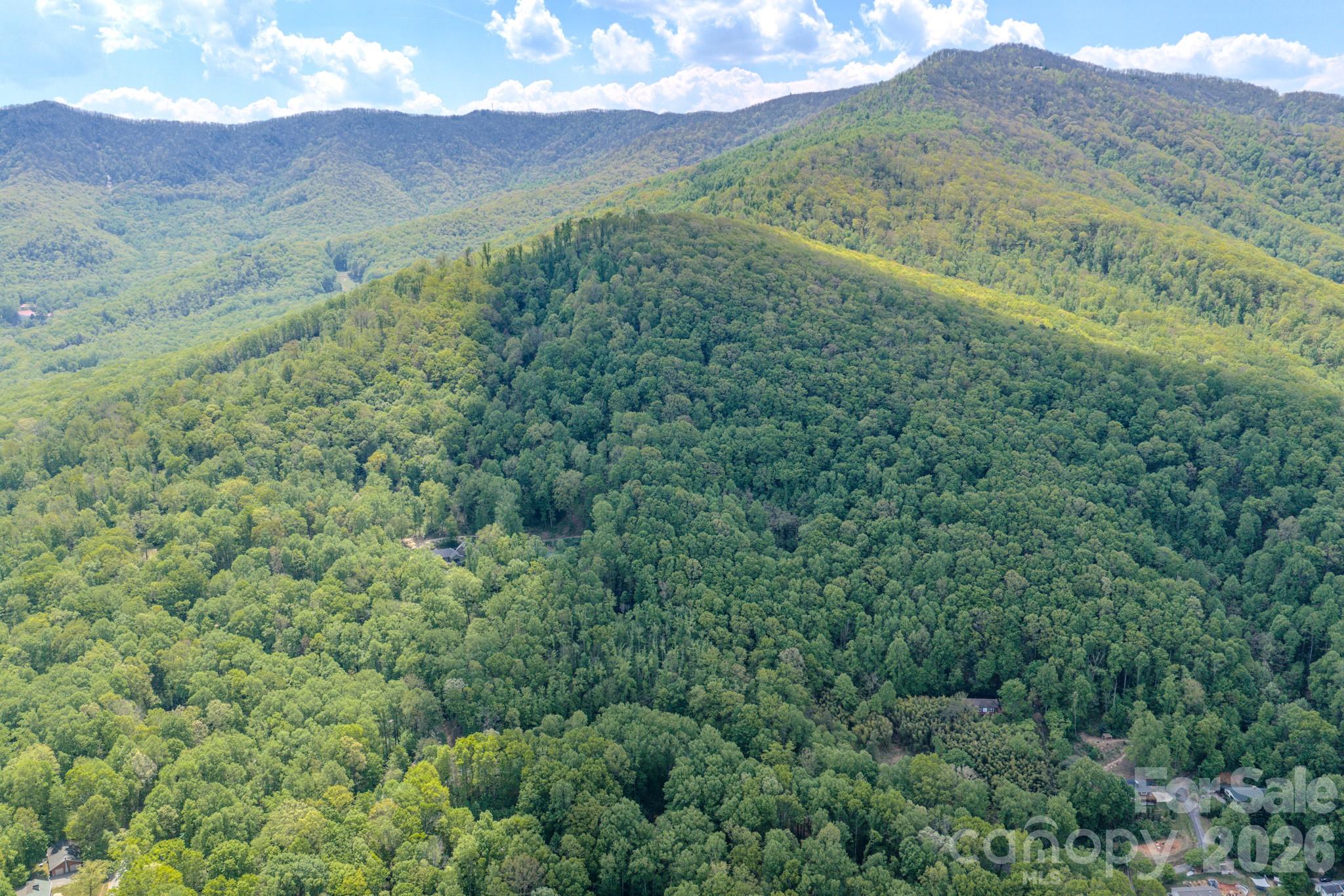 259 Mockingbird Road, Unit 1 Swannanoa, NC 28778 - Photo 13 of 25 a view of a mountain range with lush green forest