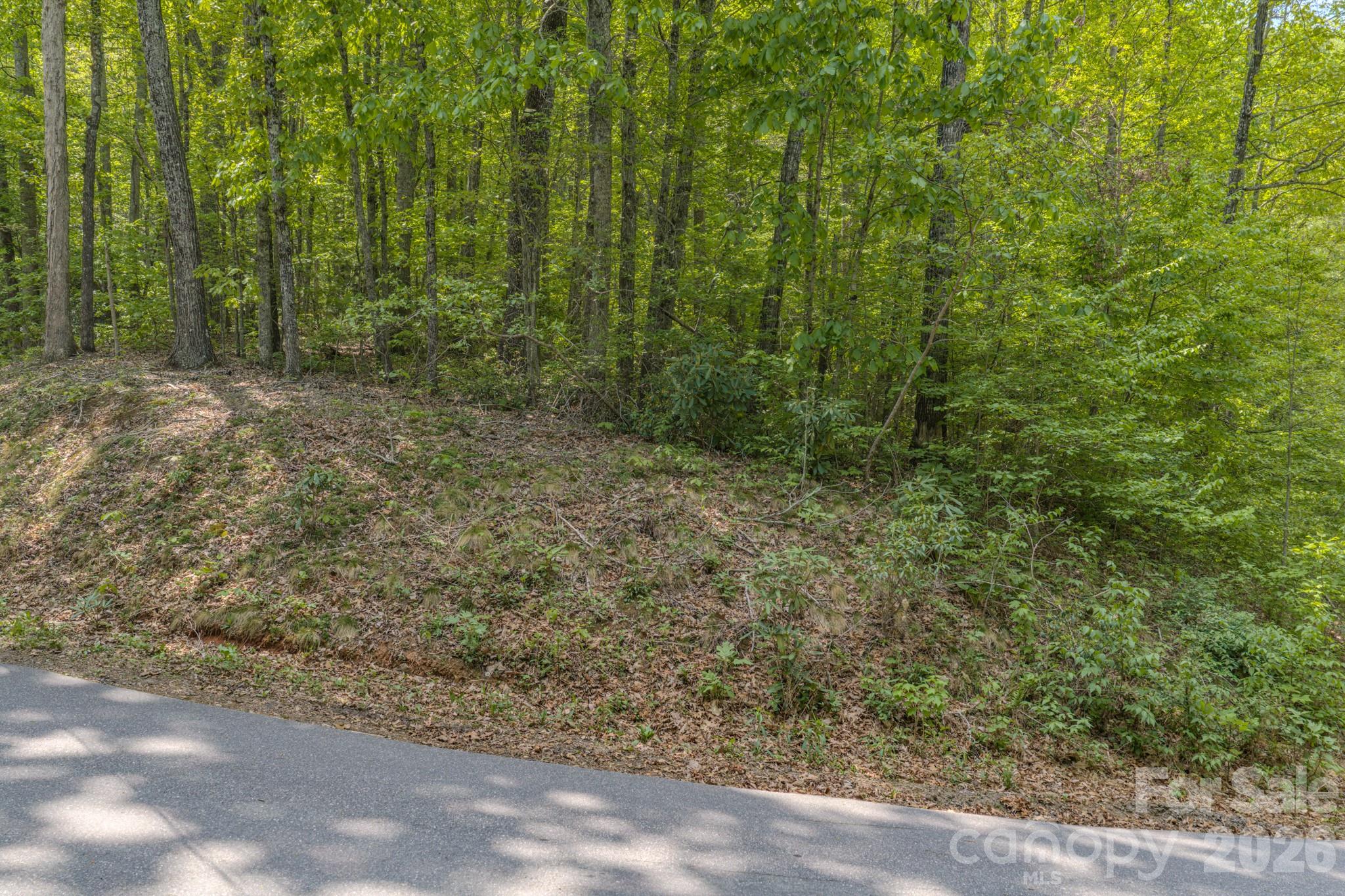 259 Mockingbird Road, Unit 1 Swannanoa, NC 28778 - Photo 15 of 25 a view of a forest with trees in the background