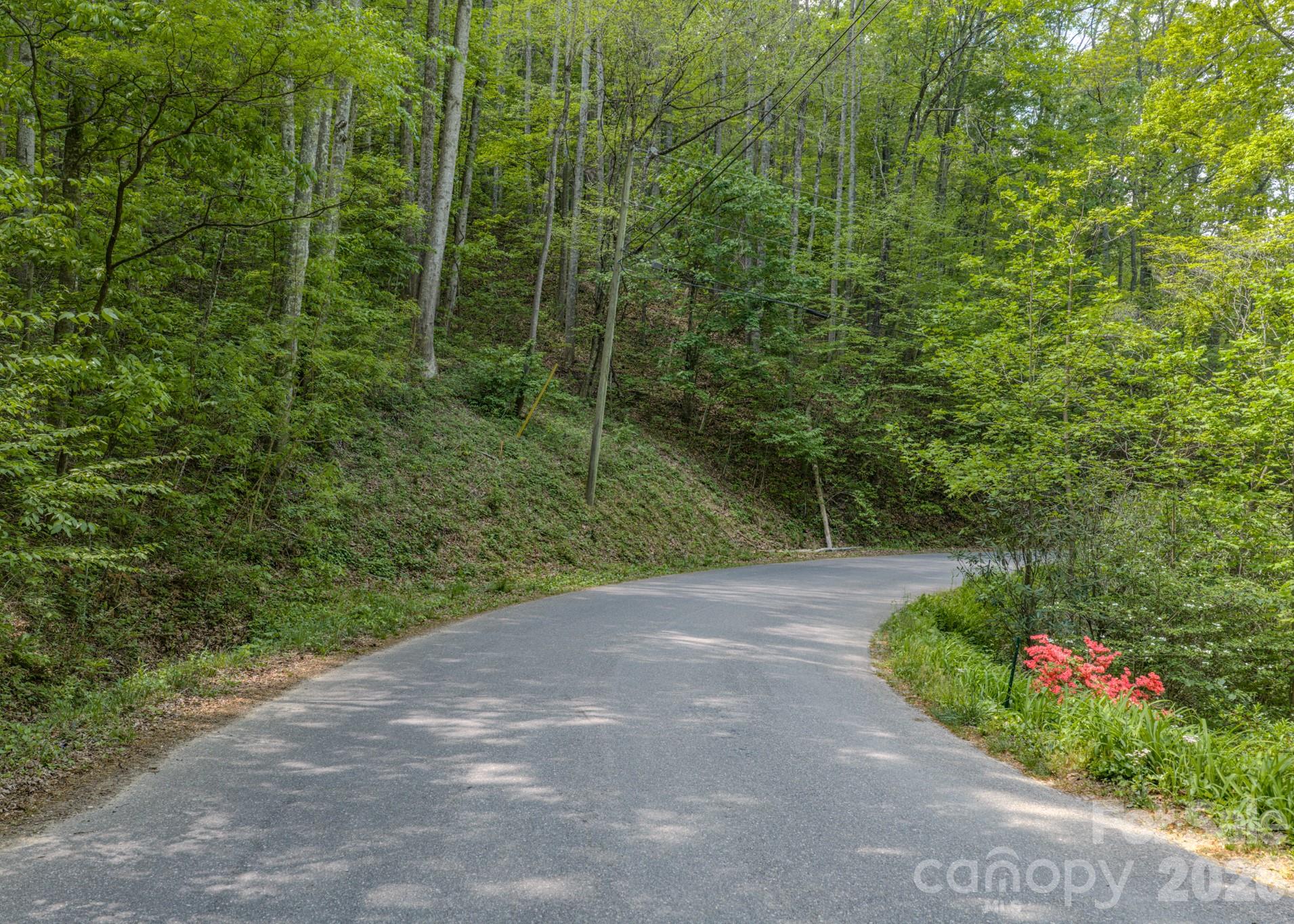 259 Mockingbird Road, Unit 1 Swannanoa, NC 28778 - Photo 17 of 25 a view of a pathway of a park