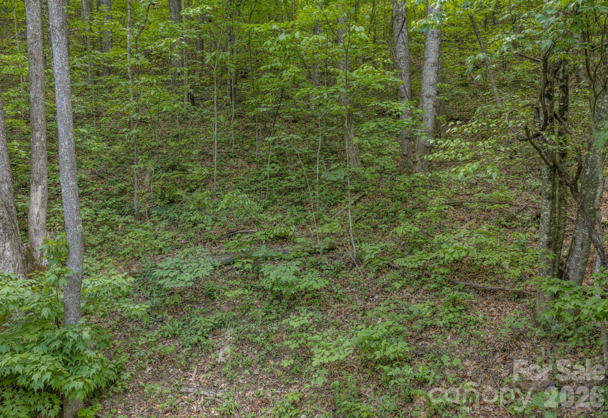 259 Mockingbird Road, Unit 1 Swannanoa, NC 28778 - Photo 19 of 25