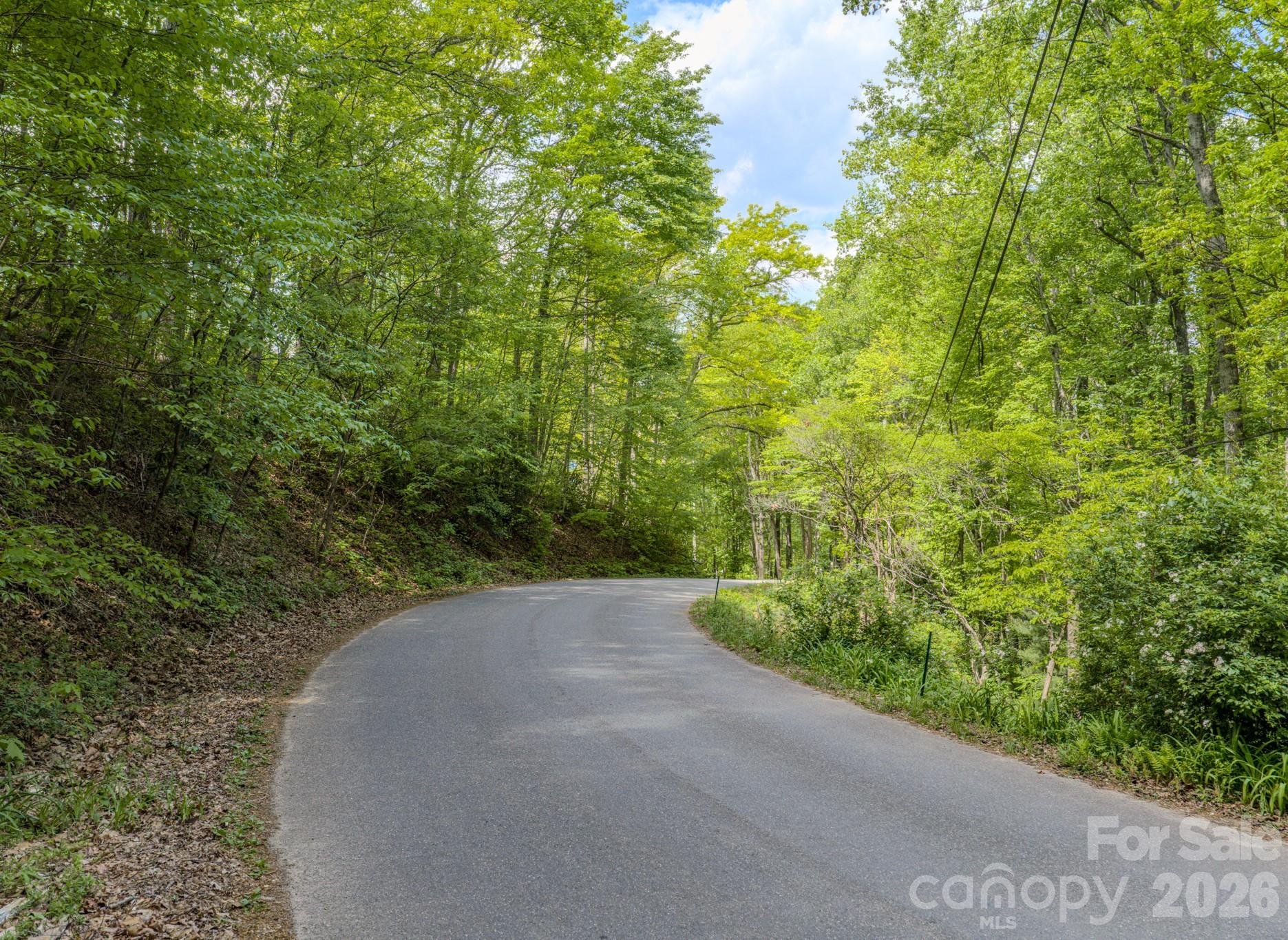 259 Mockingbird Road, Unit 1 Swannanoa, NC 28778 - Photo 20 of 25 a view of a backyard of the house