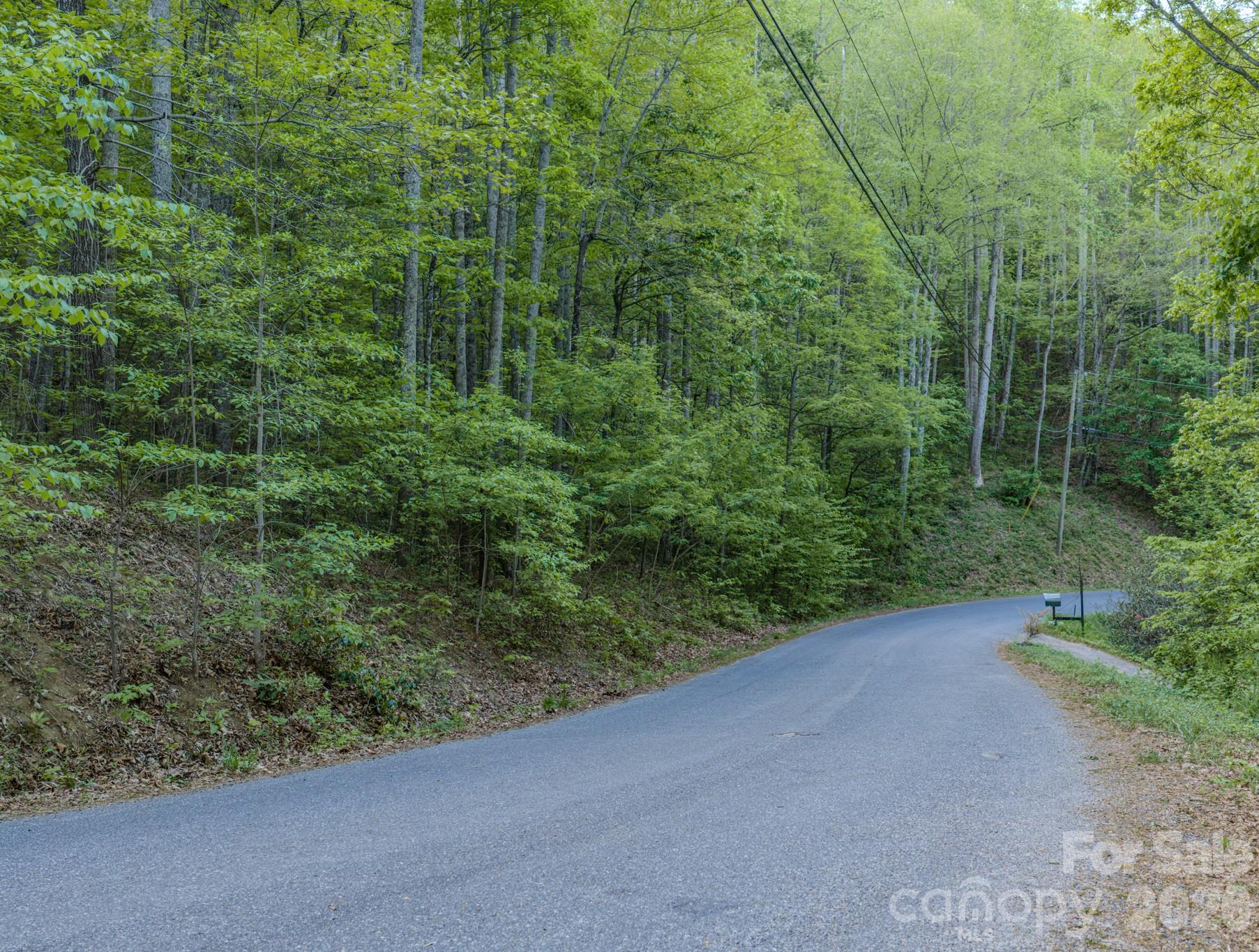 259 Mockingbird Road, Unit 1 Swannanoa, NC 28778 - Photo 2 of 25 a view of a forest with a street