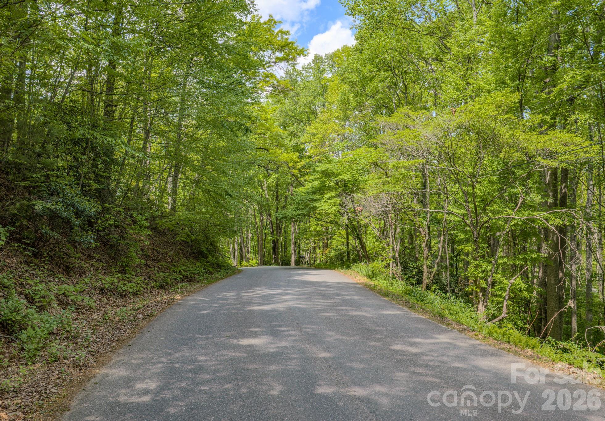 259 Mockingbird Road, Unit 1 Swannanoa, NC 28778 - Photo 21 of 25 a view of a green field with lots of bushes