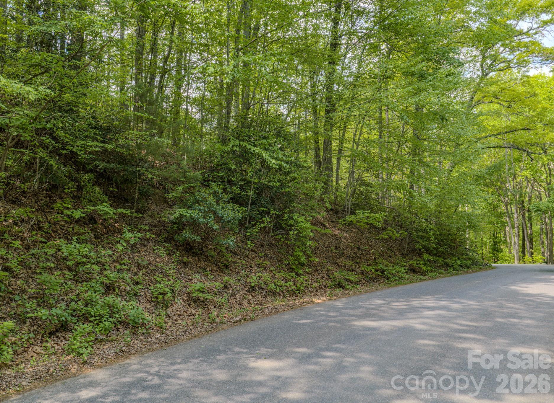 259 Mockingbird Road, Unit 1 Swannanoa, NC 28778 - Photo 22 of 25 a view of a yard with a trees