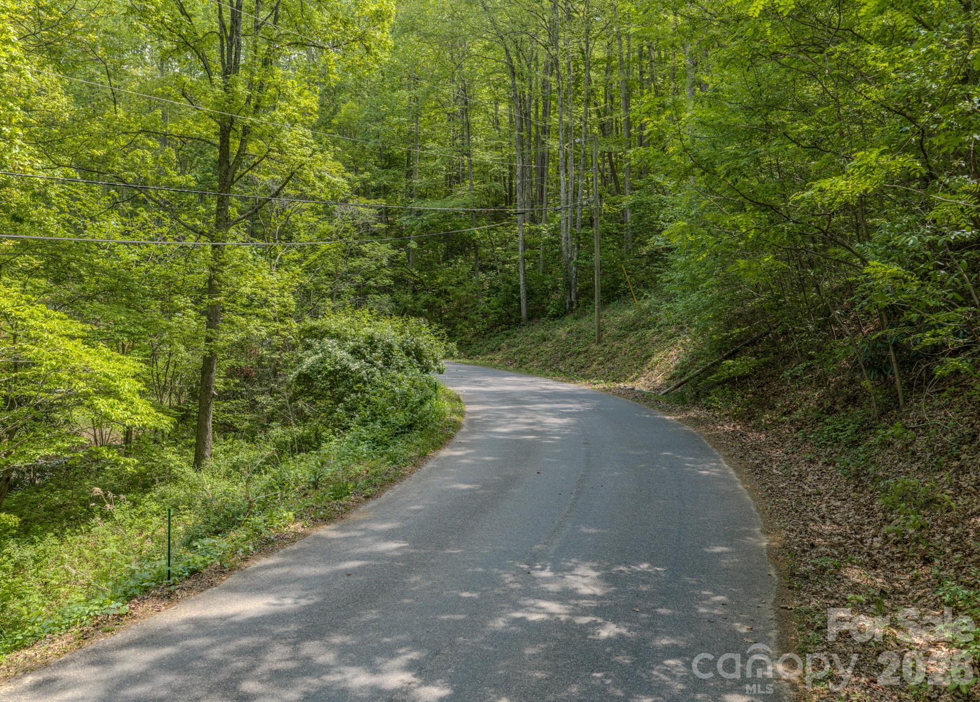 259 Mockingbird Road, Unit 1 Swannanoa, NC 28778 - Photo 23 of 25 a view of a yard