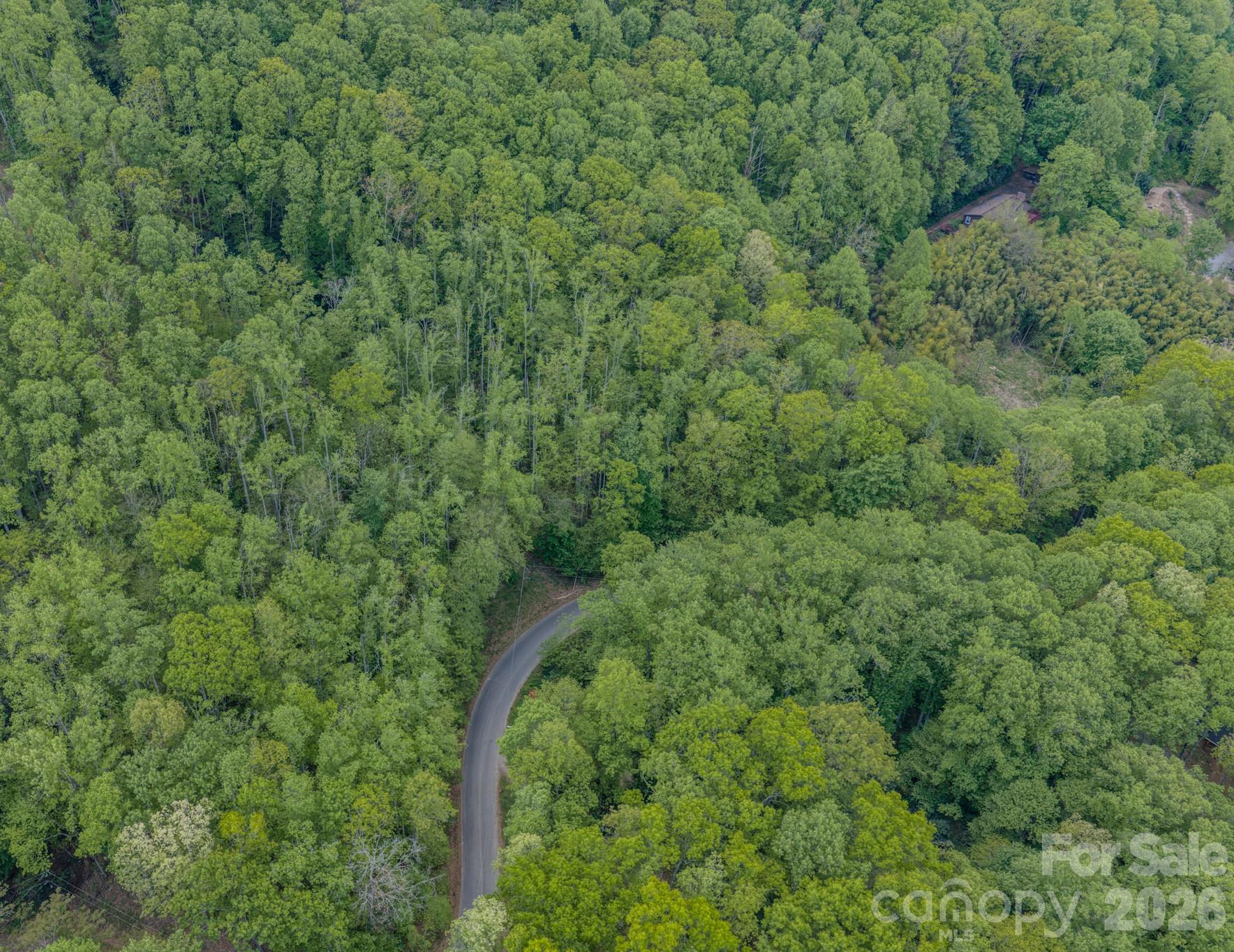 259 Mockingbird Road, Unit 1 Swannanoa, NC 28778 - Photo 24 of 25 a view of a forest with a tree