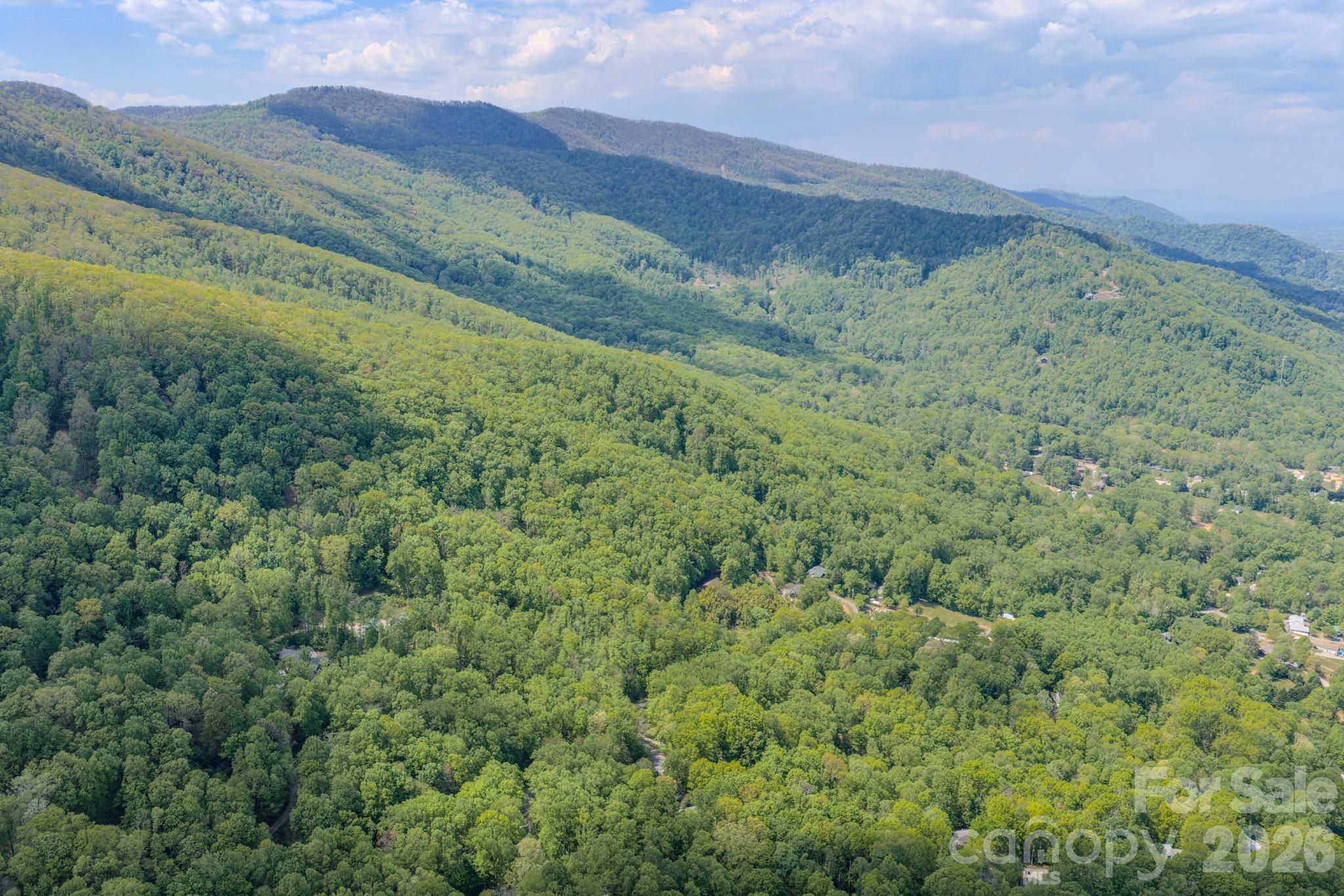 259 Mockingbird Road, Unit 1 Swannanoa, NC 28778 - Photo 3 of 25 a view of a lush green hillside and a building
