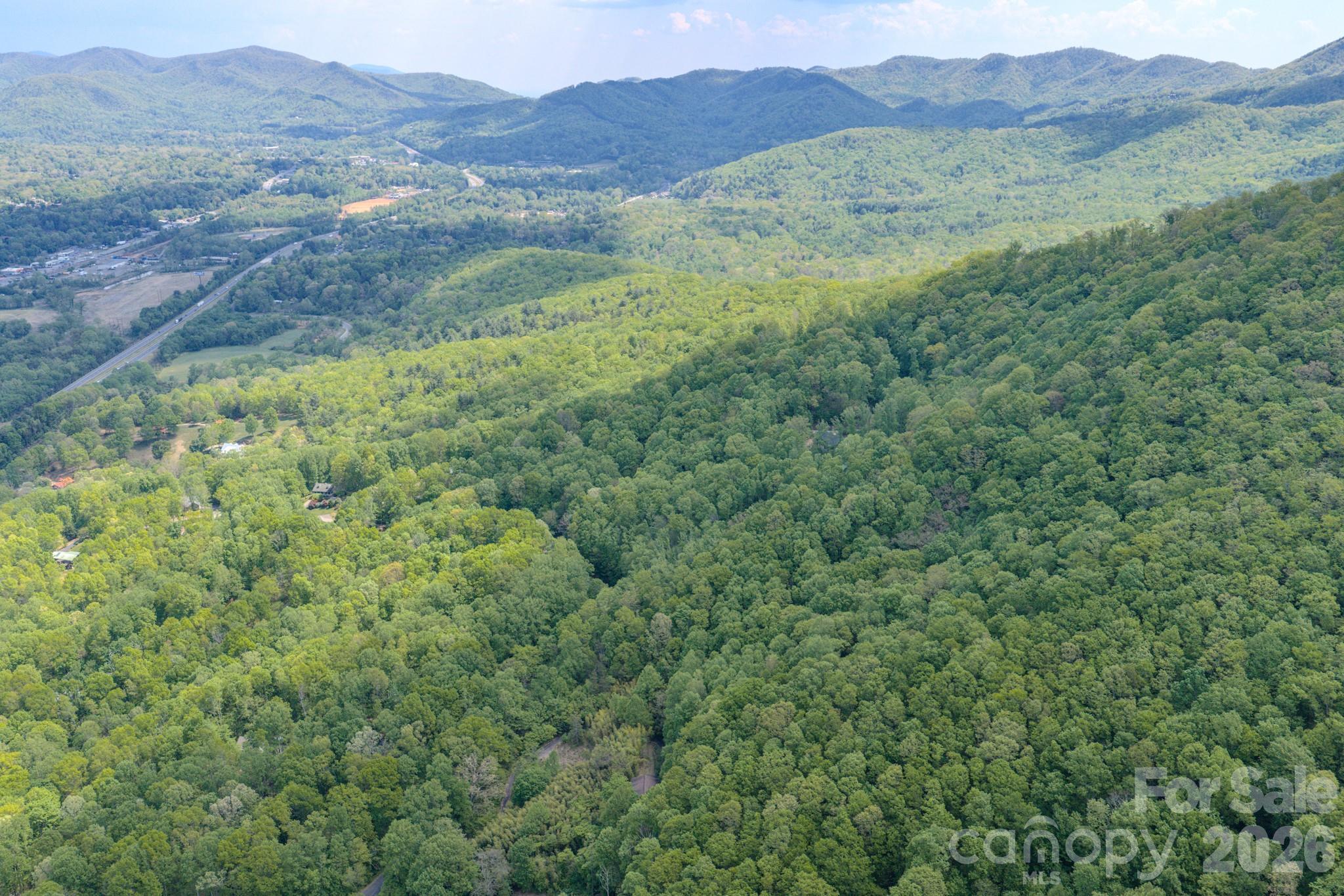 259 Mockingbird Road, Unit 1 Swannanoa, NC 28778 - Photo 4 of 25 a view of a lush green hillside and a building