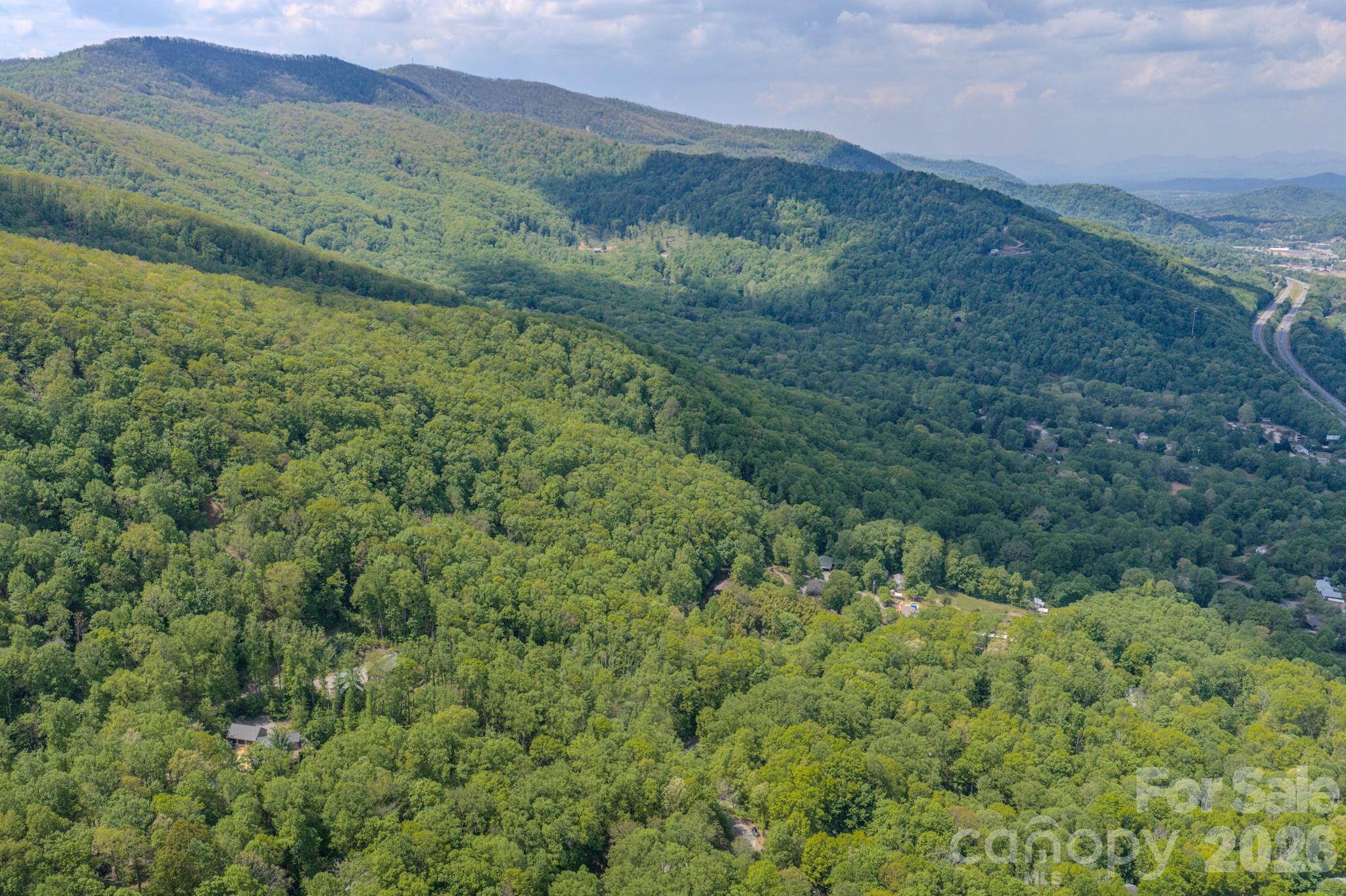 259 Mockingbird Road, Unit 1 Swannanoa, NC 28778 - Photo 10 of 25 a view of a lush green forest with lots of trees