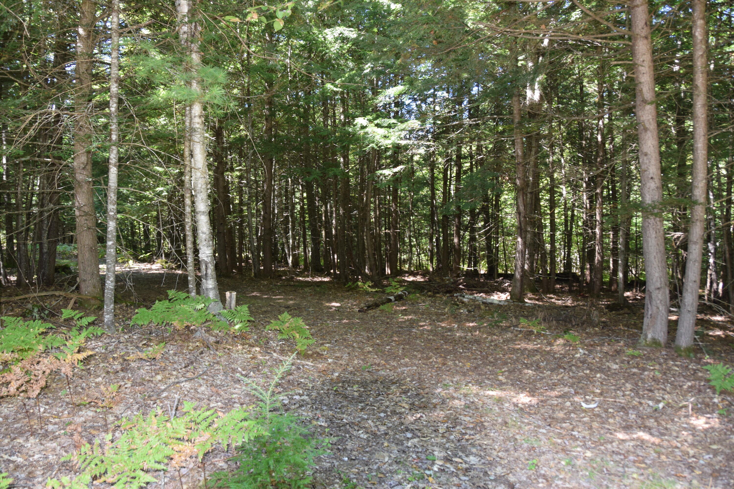 M2-l10 Madison Road Norridgewock, ME 04957 - Photo 24 of 53 DSC_0060