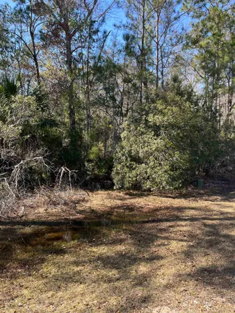 $27,000 | Lot 10 Burnt Pine Loop Street, Crawfordville, FL 32327