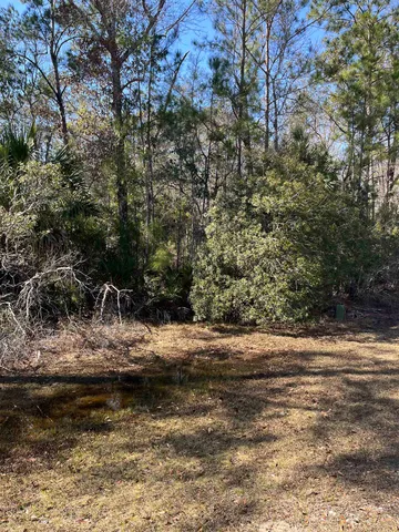 $27,000 | Lot 10 Burnt Pine Loop Street, Crawfordville, FL 32327
