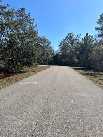 $27,000 | Lot 10 Burnt Pine Loop Street, Crawfordville, FL 32327