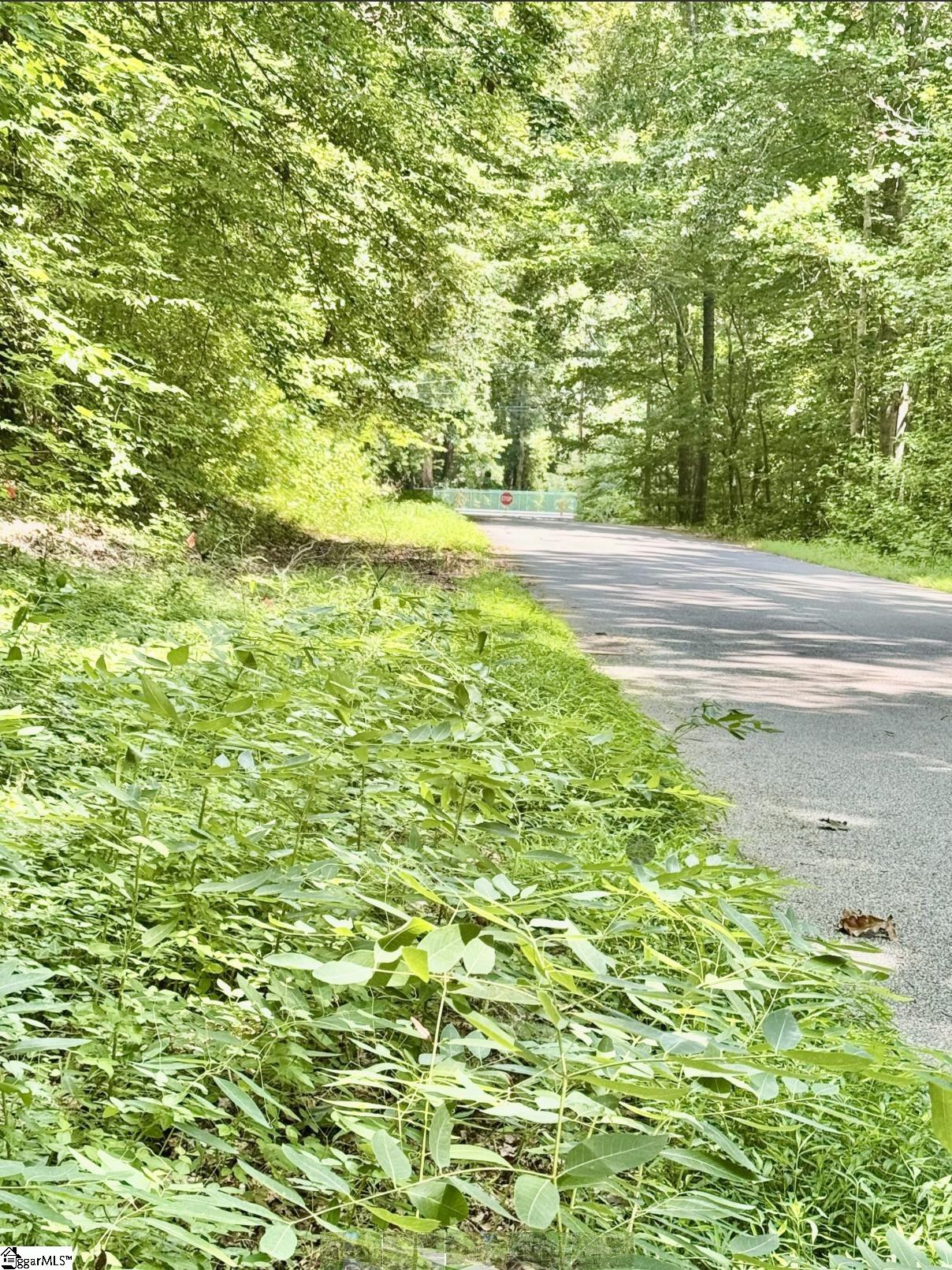 Lot B Adair Place Laurens, SC 29360 - Photo 3 of 5