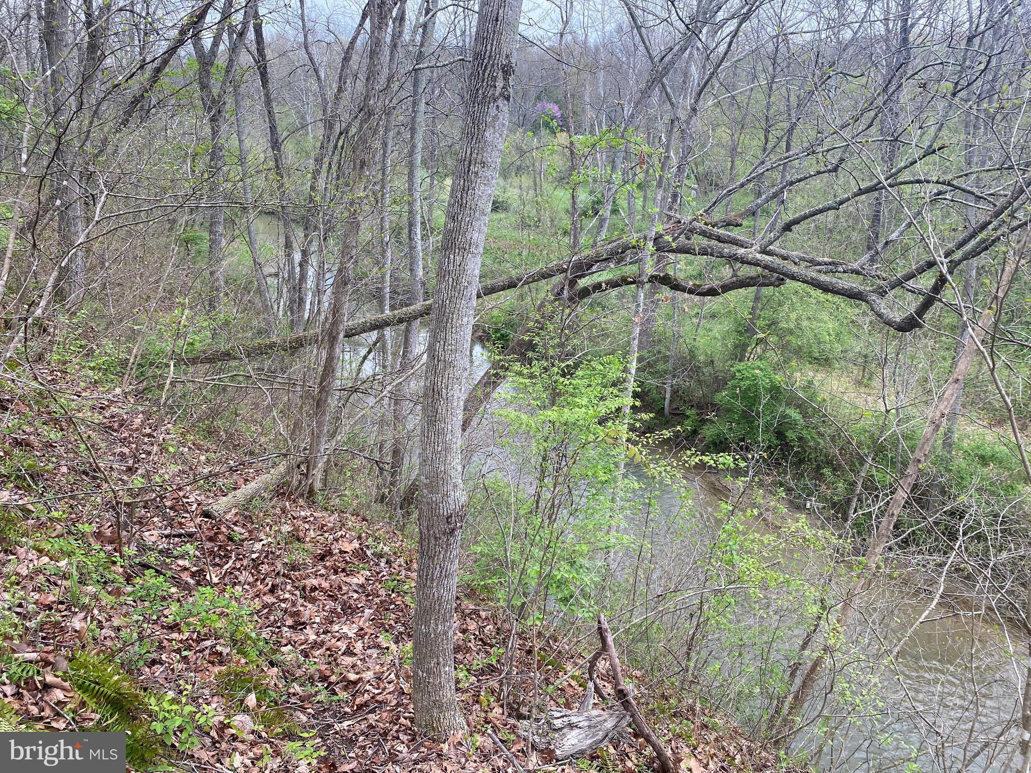Lot B Lot B Specks Run Road Bunker Hill, WV 25413 - Photo 3 of 11 a backyard of a house with lots of green space