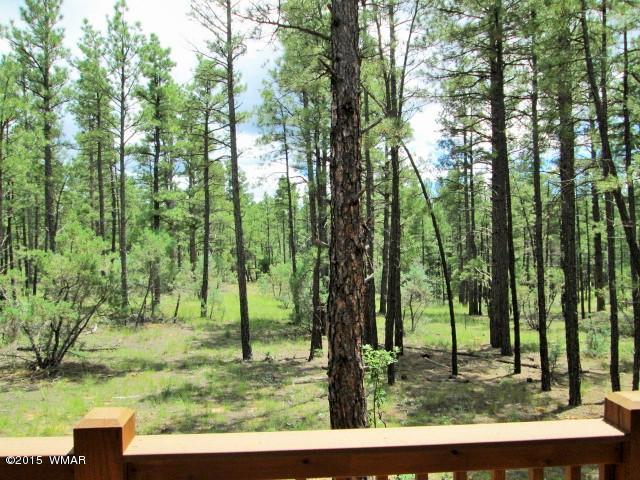 4731 West Hawthorn Road Show Low, AZ 85901 - Photo 21 of 27 Gallery Image 21