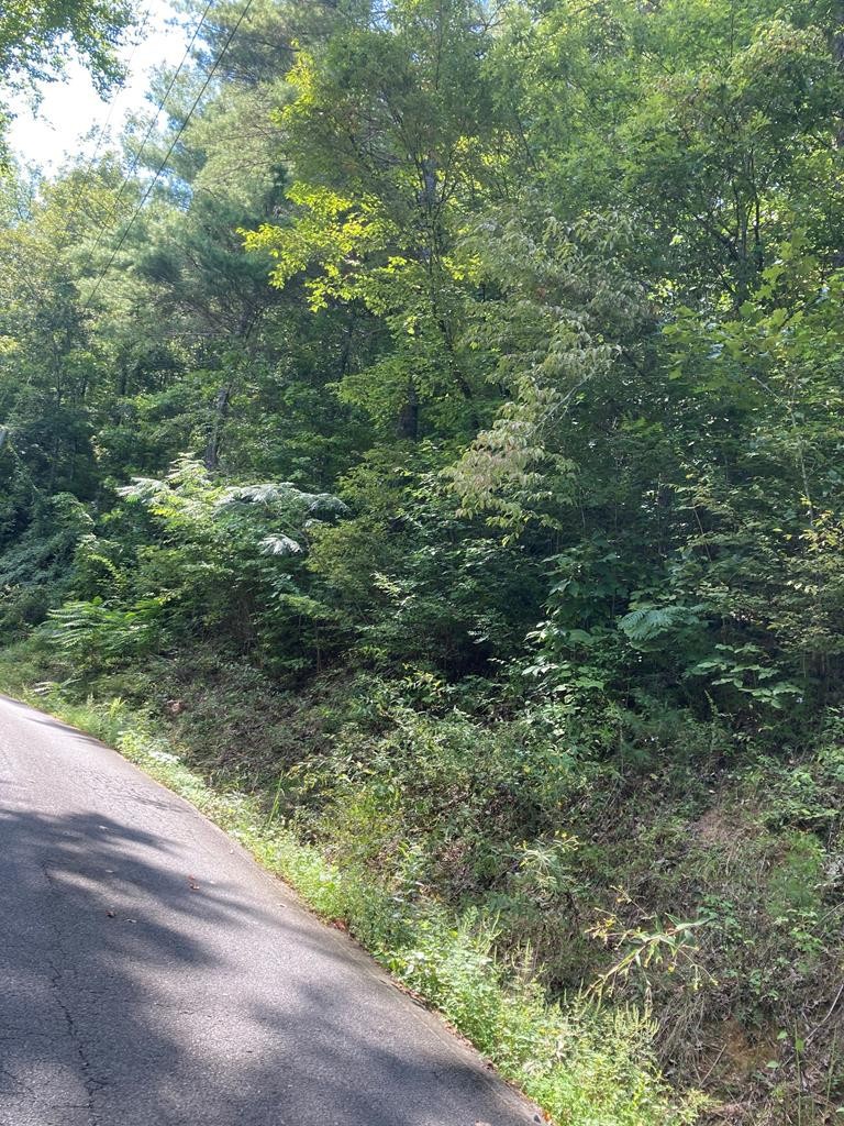 0 And 16 Sunset Road Sevierville, TN 37862 - Photo 3 of 3 Gallery Image 3