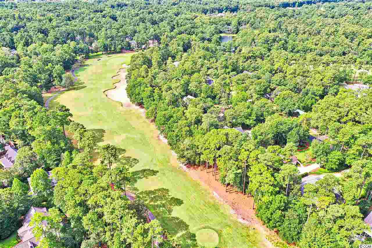 4507 Wagon Run Road Murrells Inlet, SC 29576 - Photo 9 of 38 Gallery Image 9