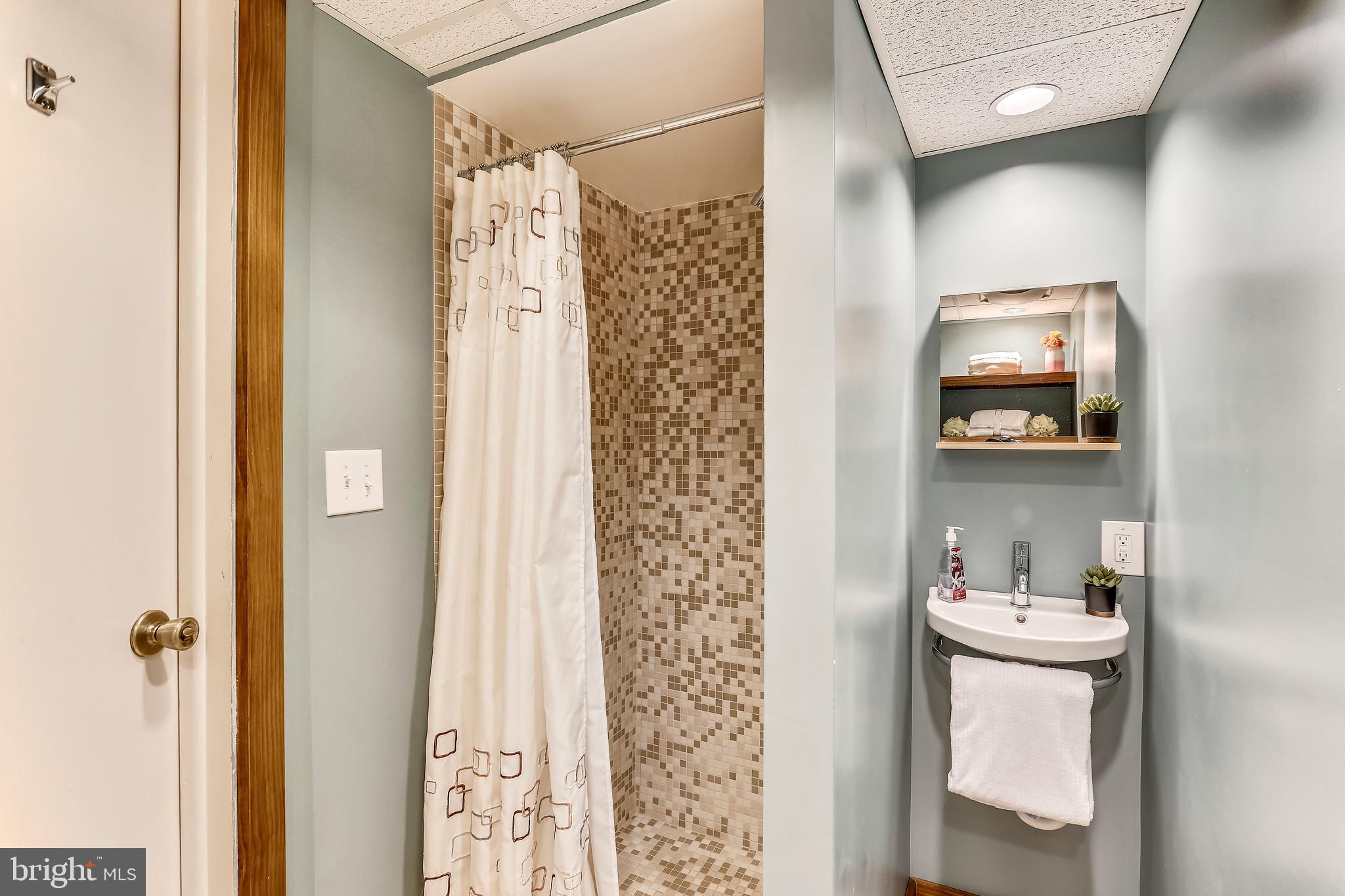 10310 Apple Ridge Road Montgomery Village, MD 20886 - Photo 24 of 32 lower Level-Bathroom