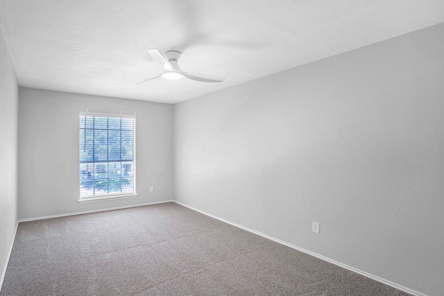 800 Smoke Signal Pass Pflugerville, TX 78660 - Photo 8 of 40 A well-lit bedroom features plush carpet, a modern ceiling fan, and blinds for privacy.
