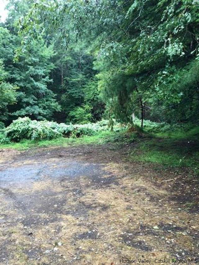 1135 Creek Locks Road Rosendale, NY 12411 - Photo 8 of 8 a view of a yard with a tree