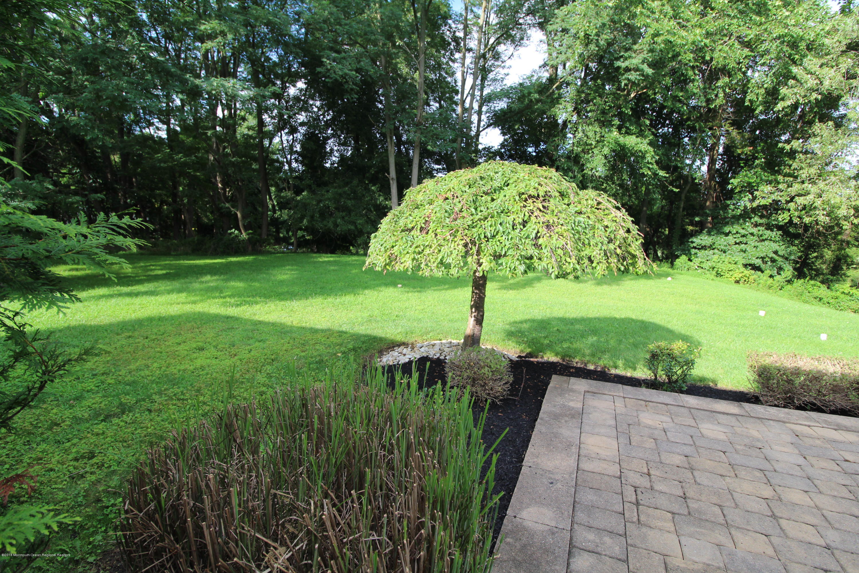 134 Conover Road Morganville, NJ 07751 - Photo 20 of 24 a view of a garden with a fountain