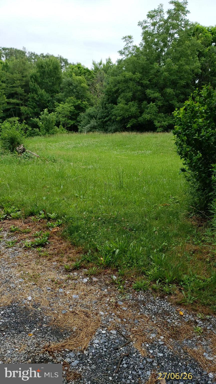 31 Old Mountain Road Bethel, PA 19507 - Photo 13 of 21 Back view 2