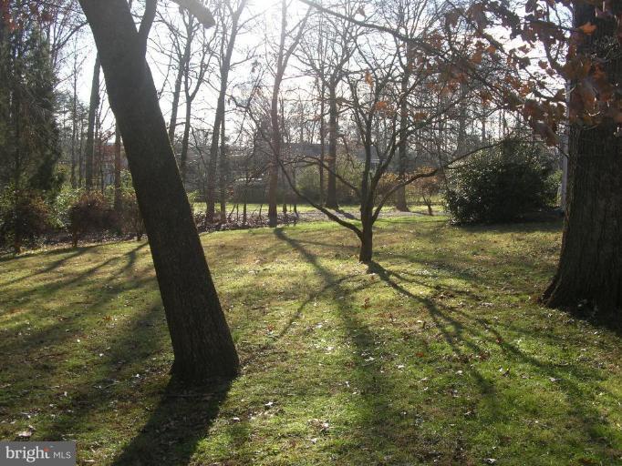 10308 Vale Road Vienna, VA 22181 - Photo 3 of 12 Front Yard